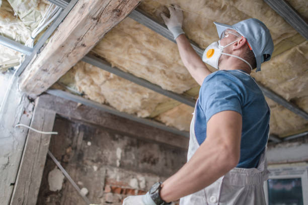 Best Commercial Insulation in Raven, VA