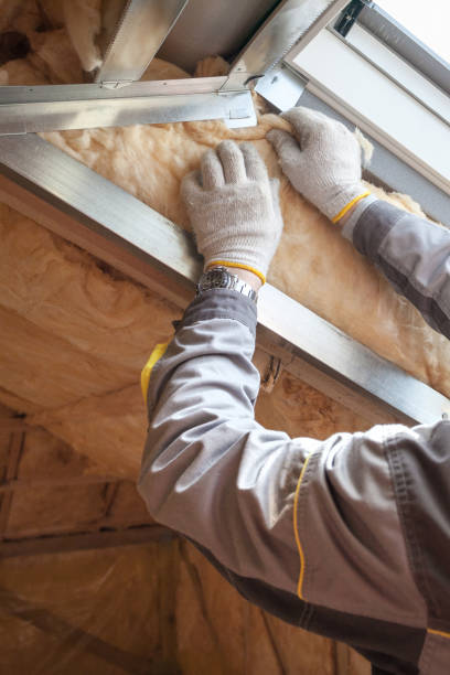 Best Cellulose Insulation in Raven, VA