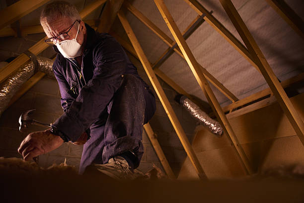 Best Spray Foam Insulation in Raven, VA