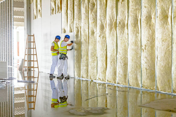 Types of Insulation We Offer in Raven, VA